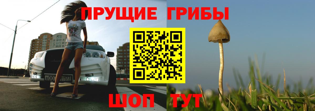 магазин продажи   Псилоцибиновые грибы Psilocybine cubensis  Вход с VPN  Кыштым  Галлюциногенные грибы Cubensis 