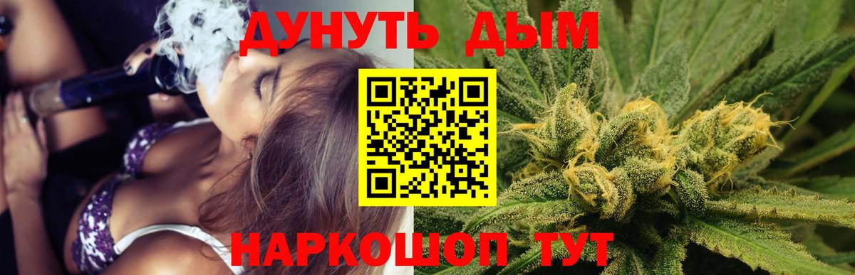 Марихуана сатива Кыштым